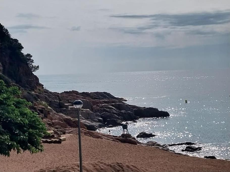 Cala Salions Balandro II Tossa De Mar Apartment Canet De Mar Luaran gambar