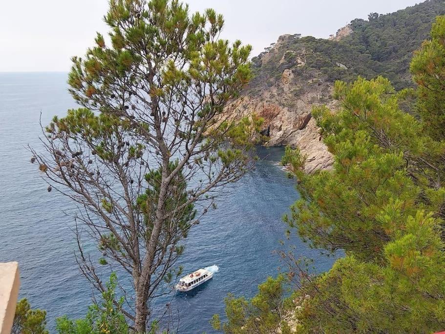 Cala Salions Balandro II Tossa De Mar Apartment Canet De Mar Luaran gambar
