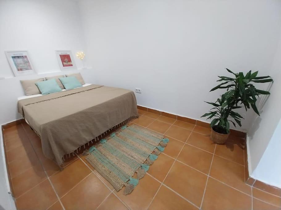 Cala Salions Balandro II Tossa De Mar Apartment Canet De Mar Luaran gambar